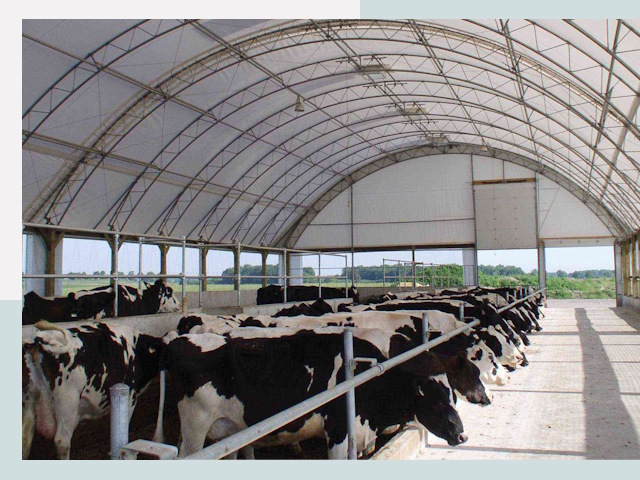 Тентовые коровники в Ленинске-Кузнецком